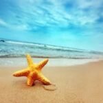 Get Organized for Summer