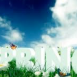 Spring Clean Challenge: Week 4