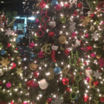 Five Easy Steps to Trimming Your Tree